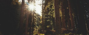 J3urhsssqyqifujvcgku wald